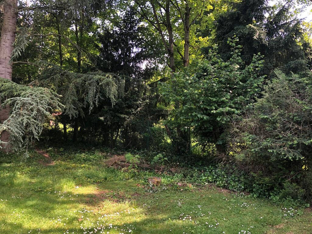 Terrain à GARCHES