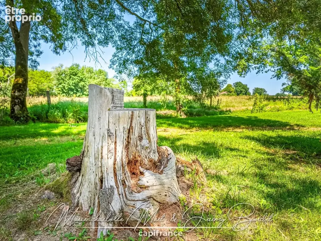 Longère de caractère avec parc arboré - photo 37