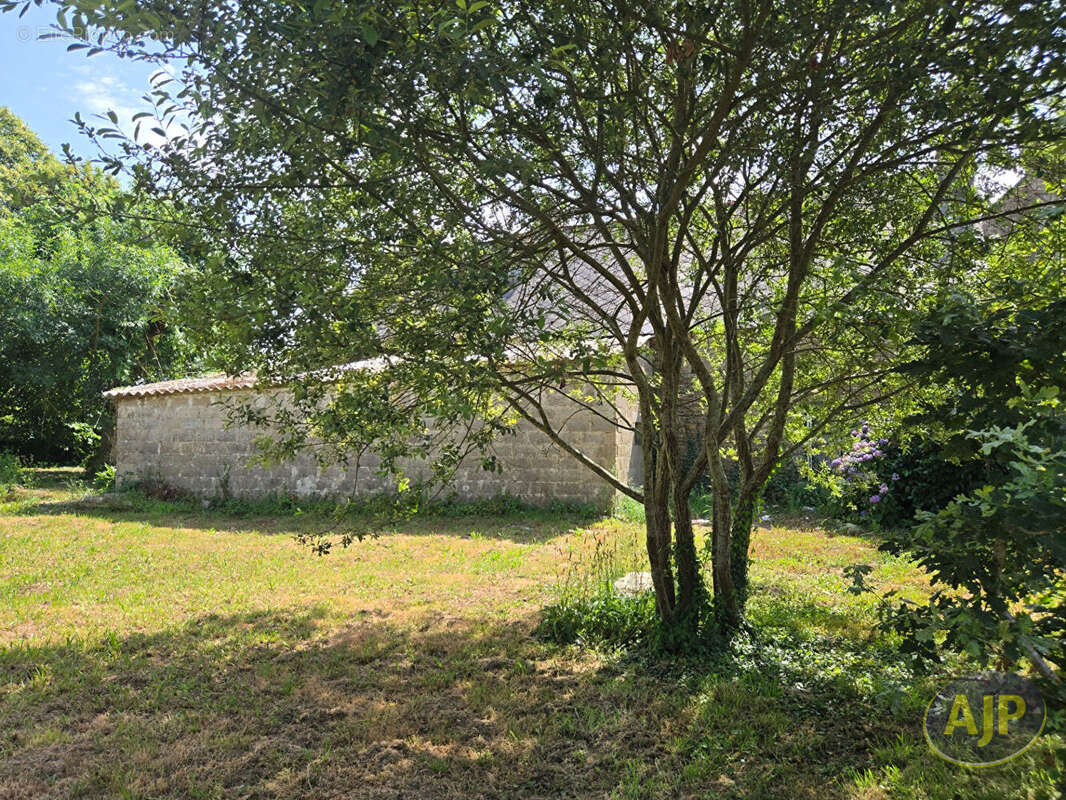 CRUGUEL Maison en pierre - photo 4