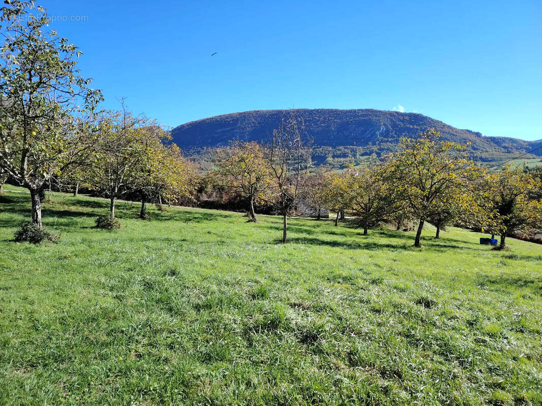 Terrain à SAINT-ANDRE-EN-ROYANS