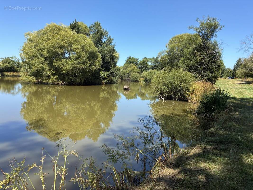 Terrain à LA BAZOUGE-DES-ALLEUX