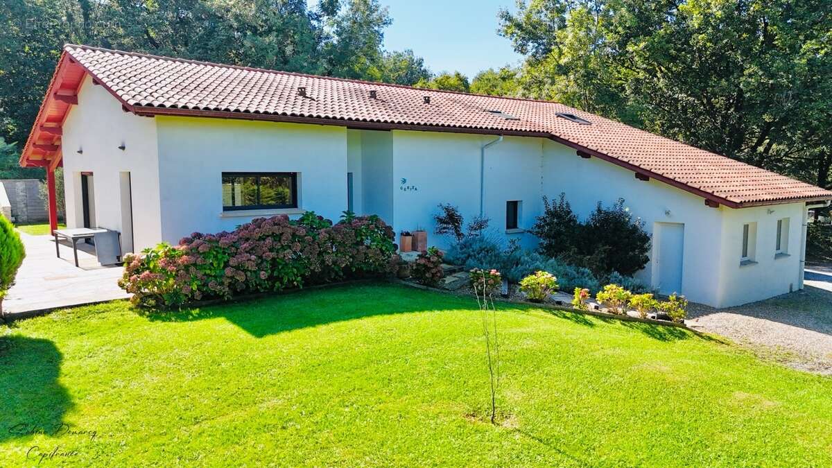 En EXCLUSIVITÉ - Maison Contemporaine avec piscine à ASCAIN - photo 20