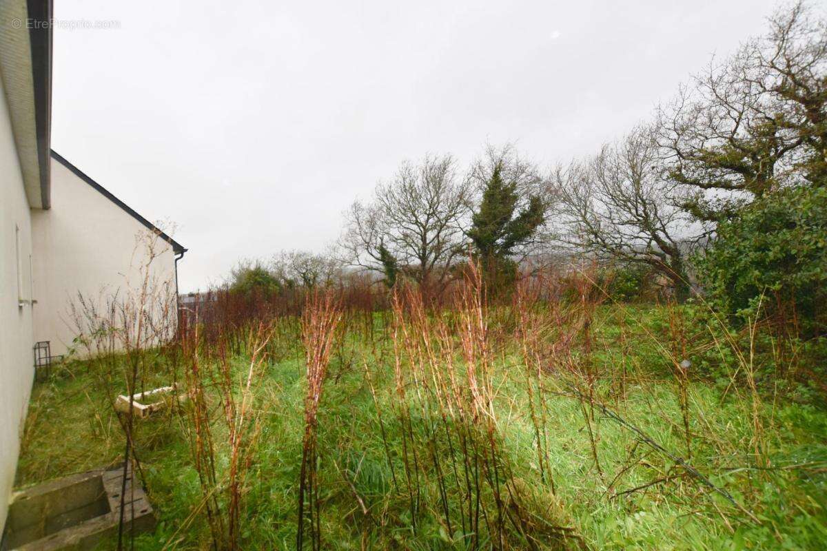 Maison à PLOMODIERN