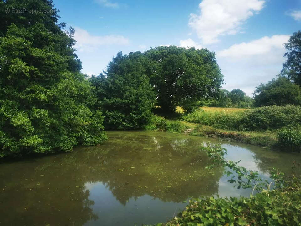 Maison à LA BONNEVILLE
