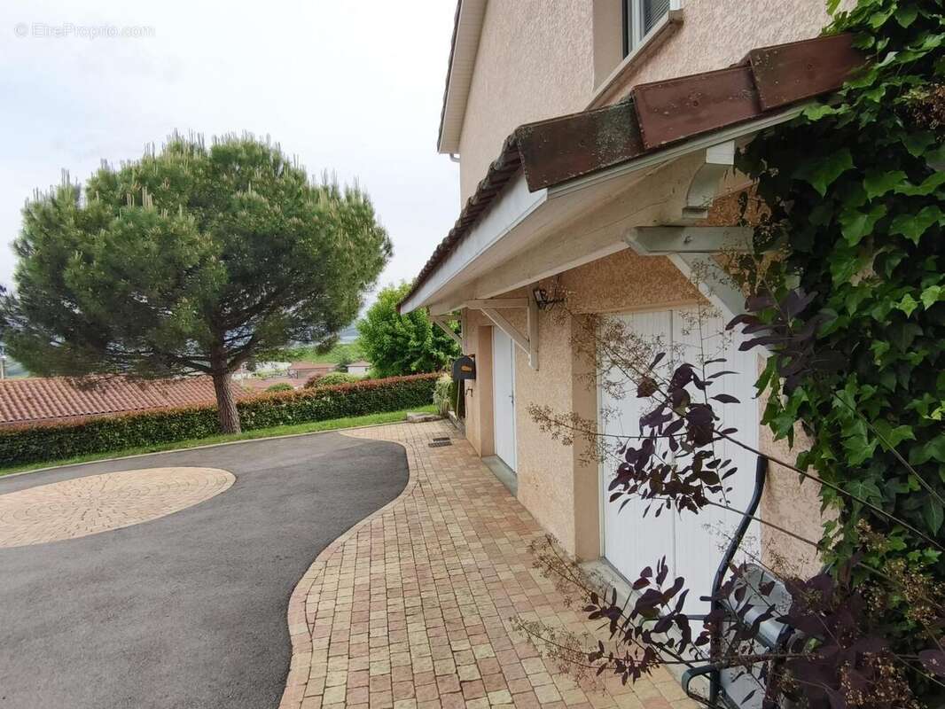 Photo 6 - Maison à SAINT-ROMAIN-EN-JAREZ
