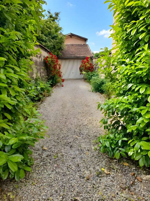 Maison à AMBERIEU-EN-BUGEY
