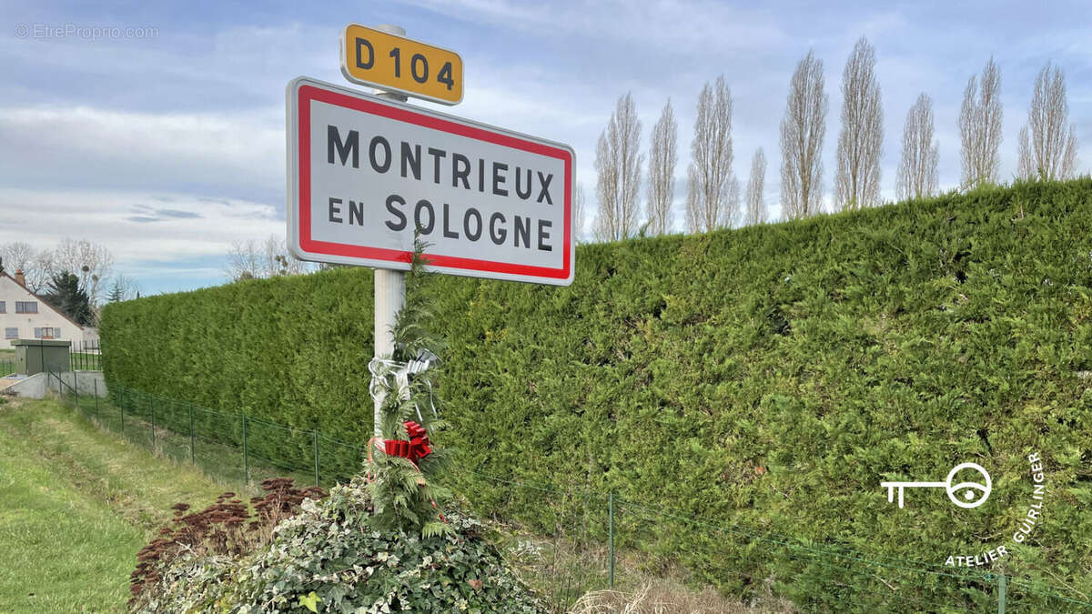 Terrain à MONTRIEUX-EN-SOLOGNE