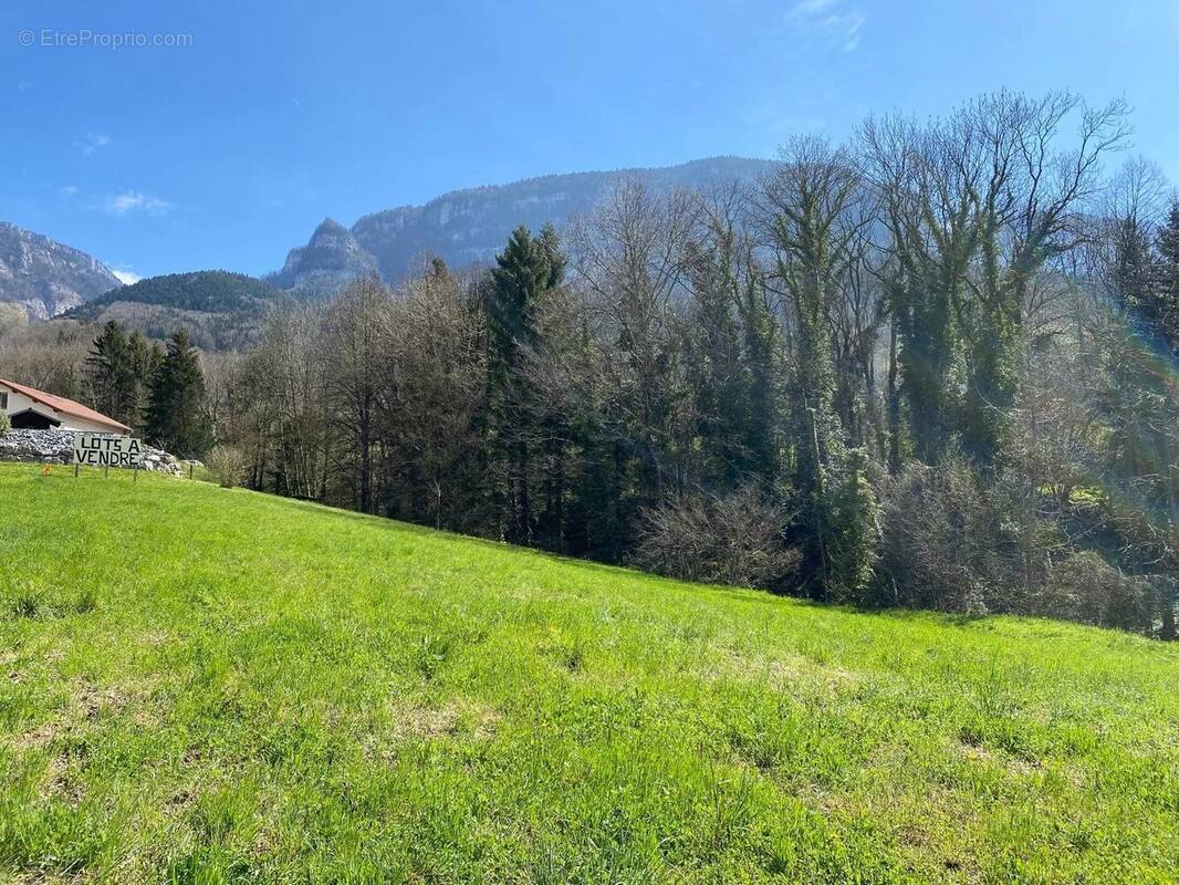 Terrain à POMMIERS-LA-PLACETTE