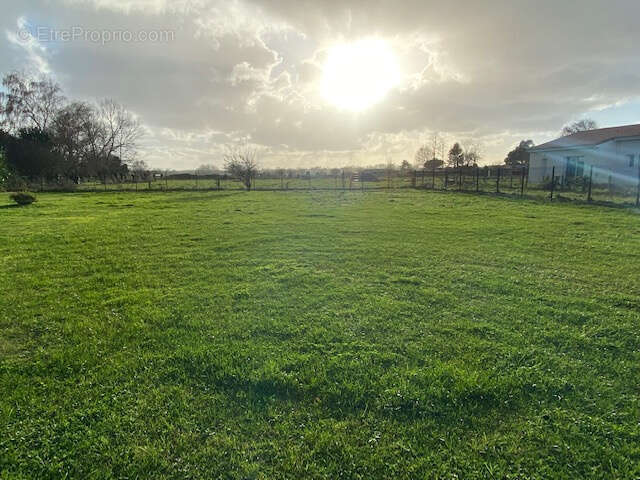ARVERT terrain constructible 902 m2 - photo 2