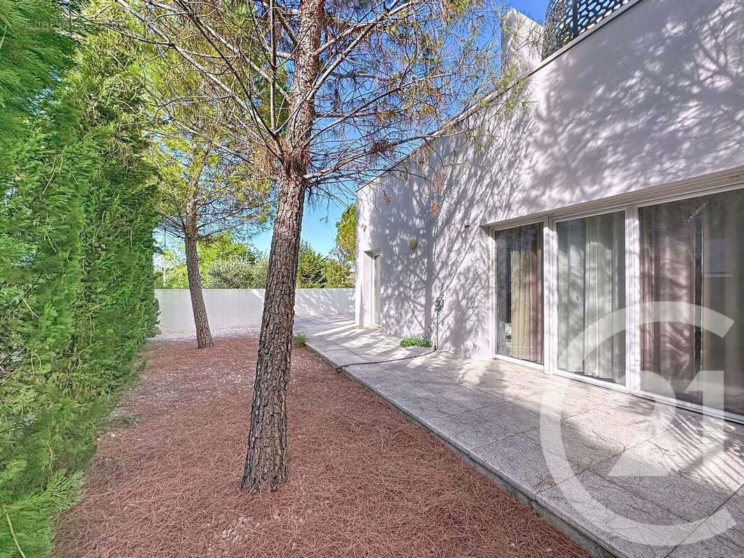 Photo 7 - Appartement à MONTPELLIER