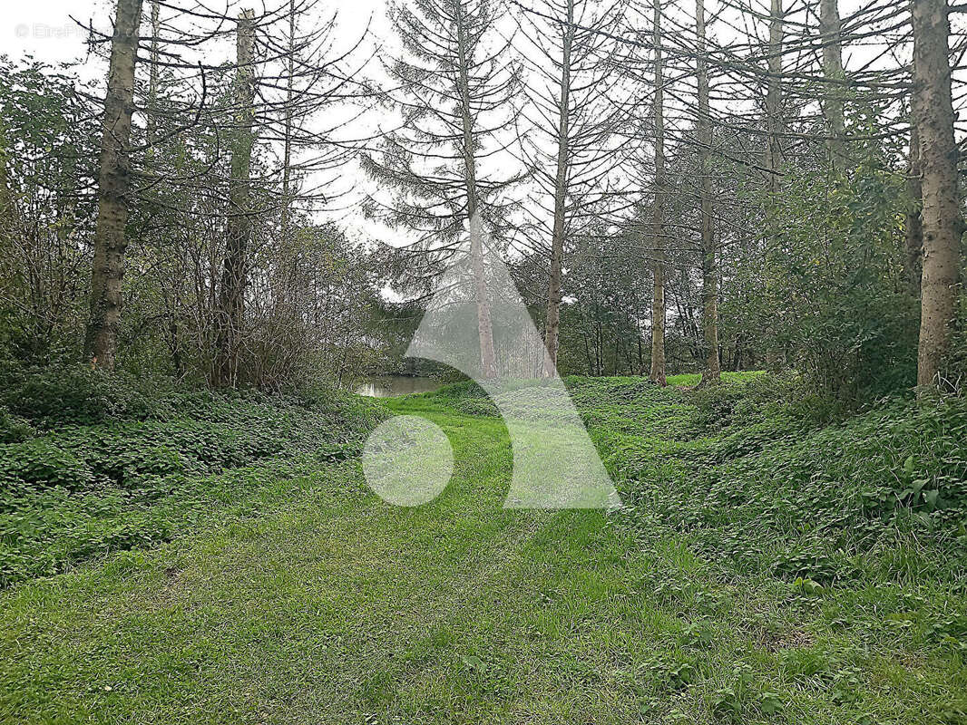 Terrain à BERLAIMONT