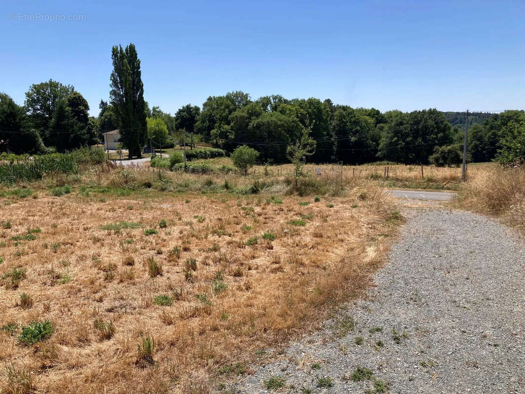 Terrain à THIVIERS
