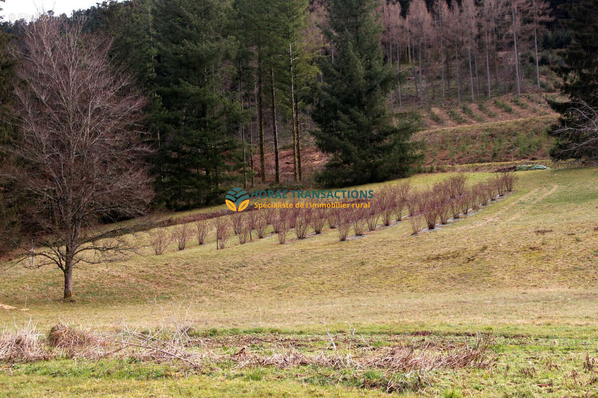 Maison à LE VAL-D&#039;AJOL