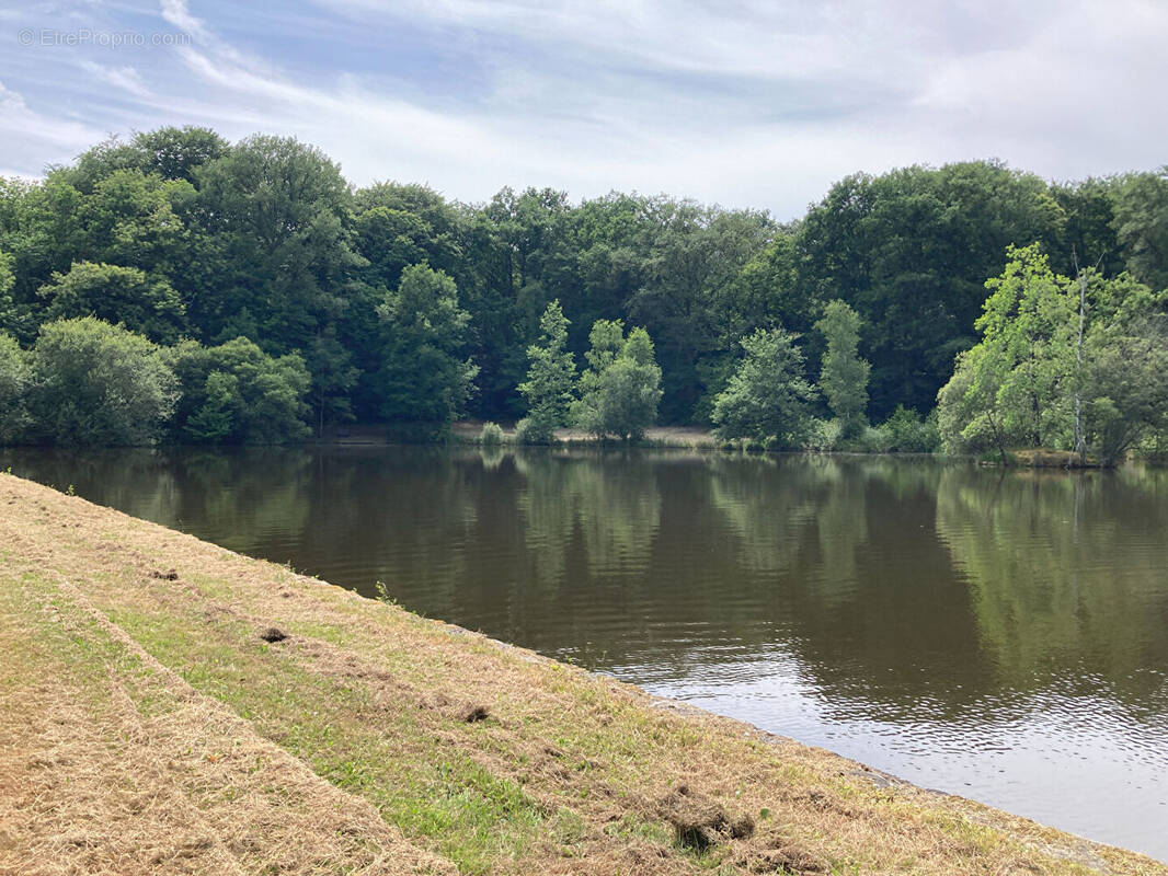 Terrain à LA GENEYTOUSE