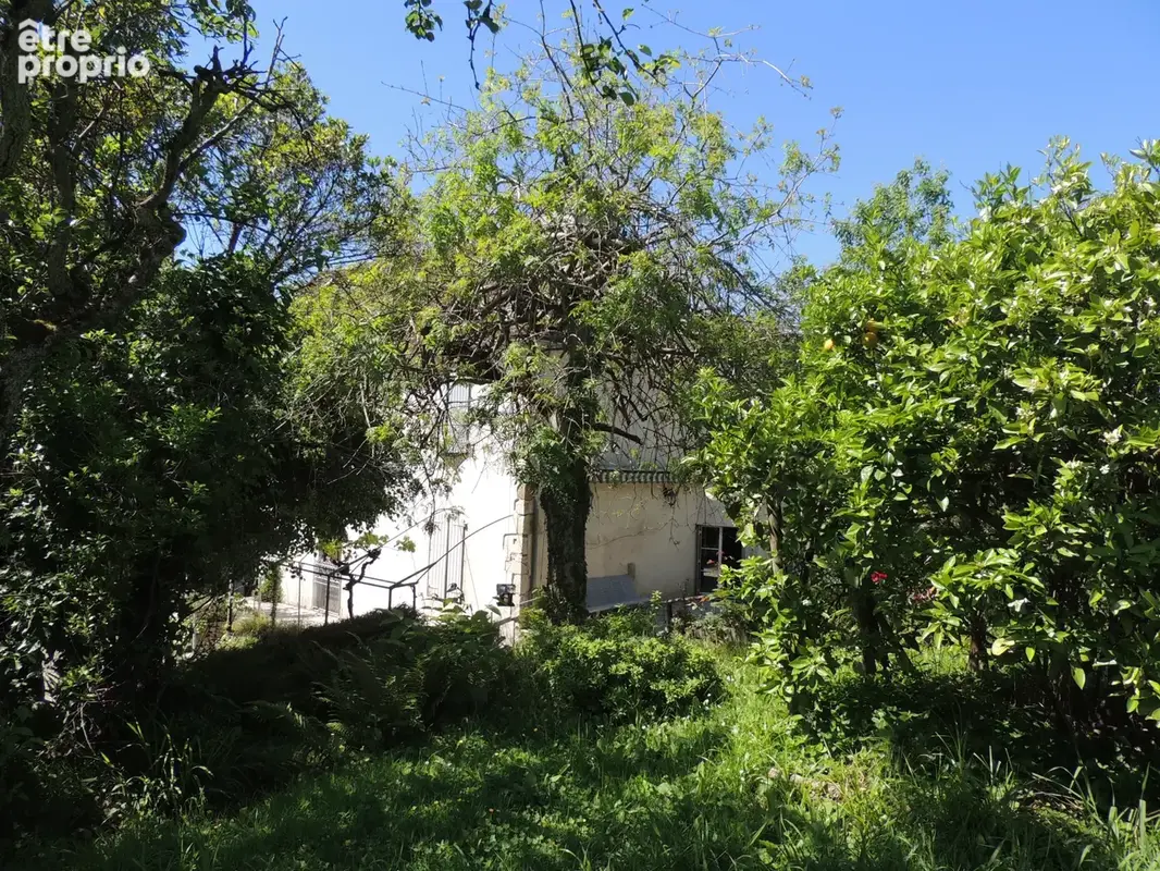 Maison de Campagne nichée dans son écrin de verdure - photo 3