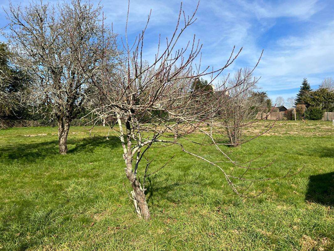 Baden-Une adresse privilégiée pour construire votre projet au coeur du Golfe du Morbihan - photo 3