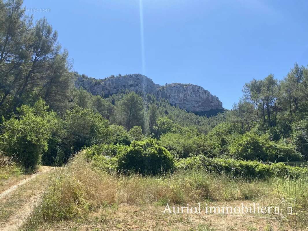 AURIOL - Villa 312 m² sur 9 690 m² de terrain - 3 logements - photo 5