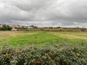 Terrain à PUISSERGUIER