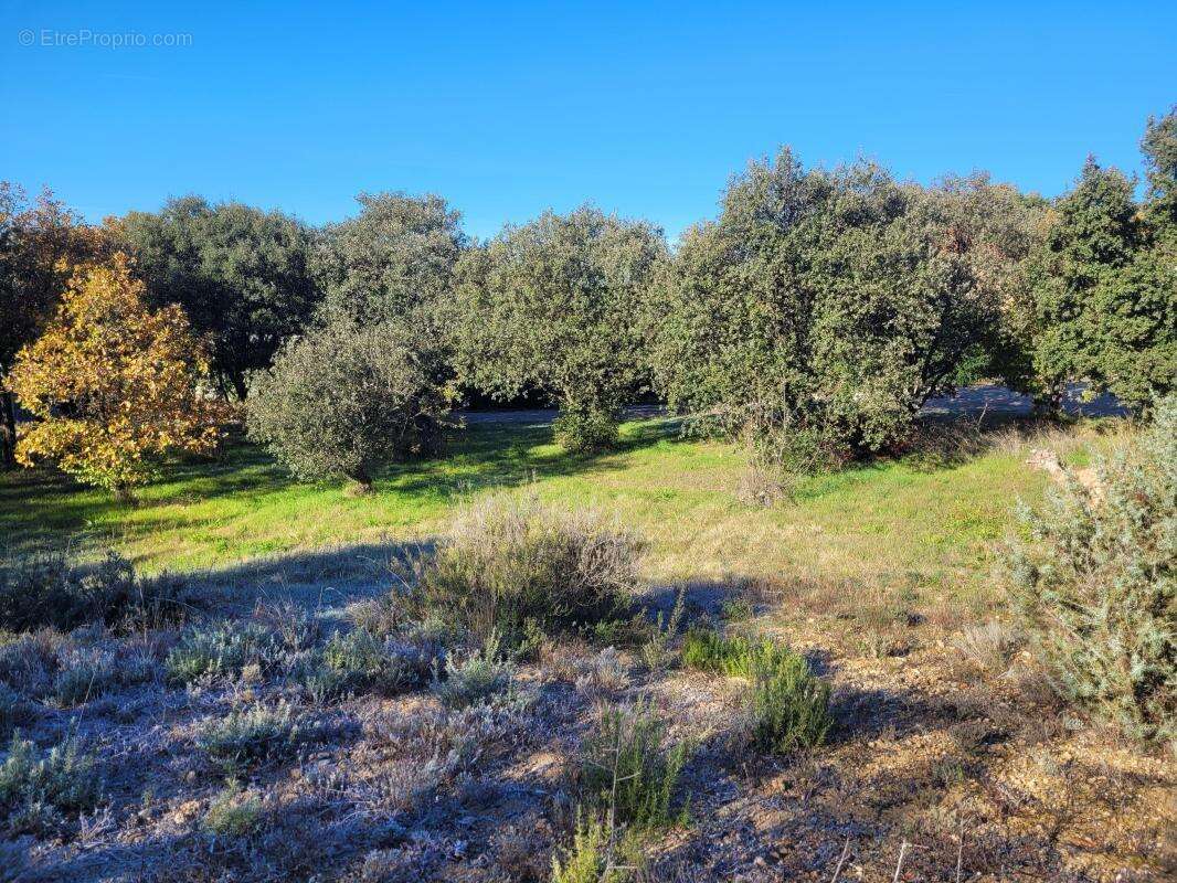 Terrain à VINON-SUR-VERDON
