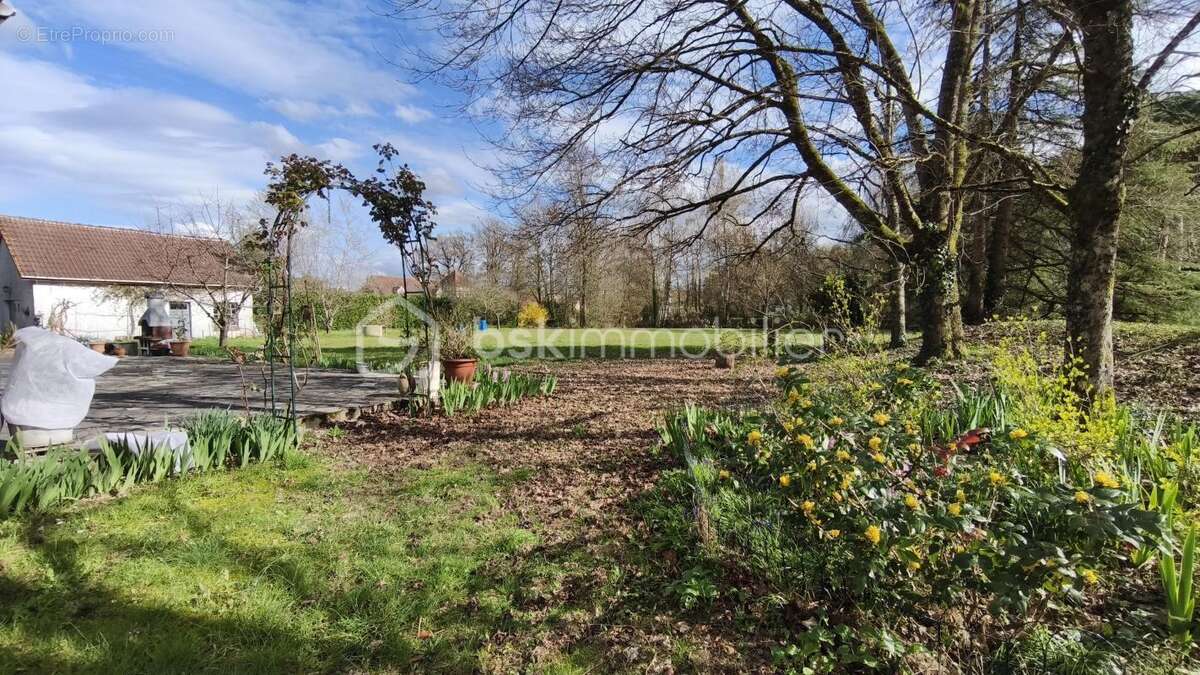 Propriété - photo 13