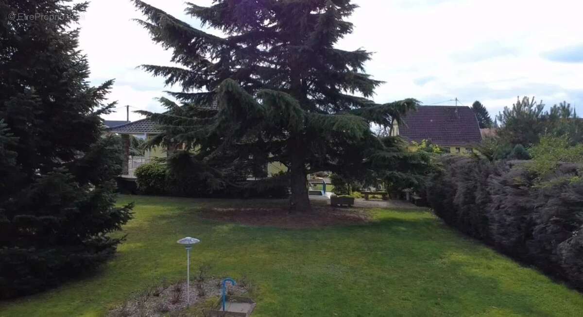 Terrain à WEITBRUCH