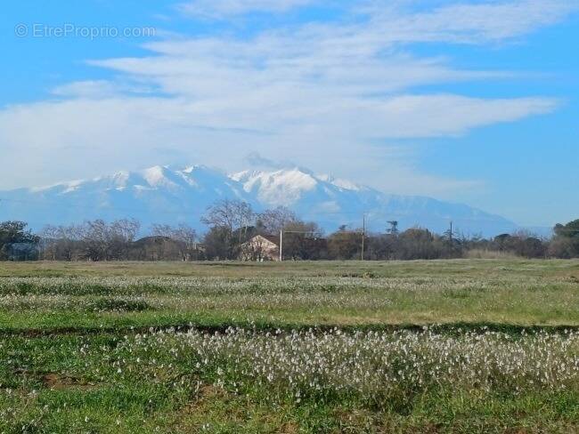 Terrain à VILLENEUVE-DE-LA-RAHO