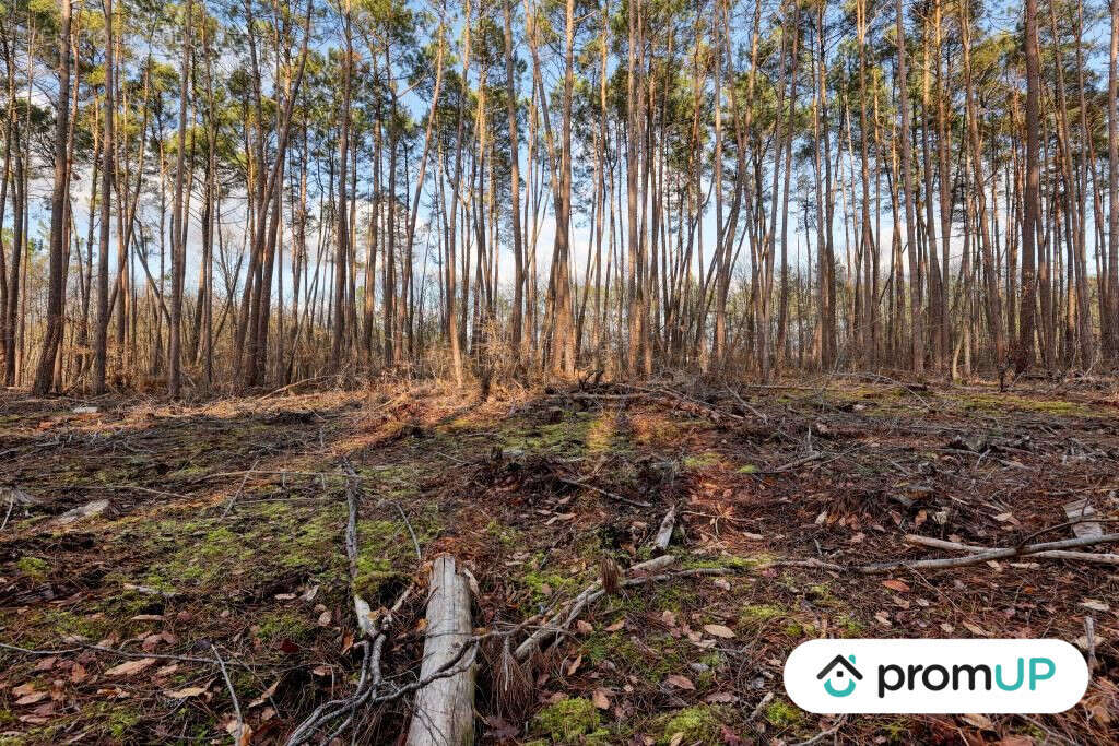Terrain à VILLEFRANCHE-SUR-CHER