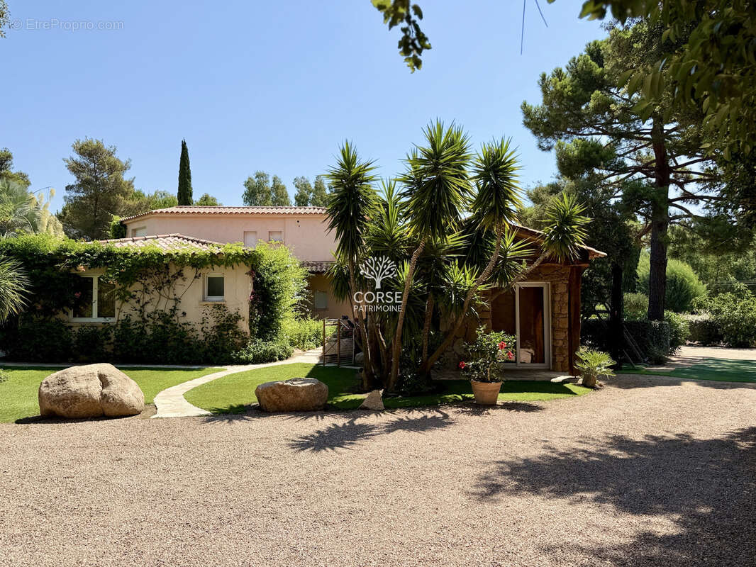 Maison à LECCI