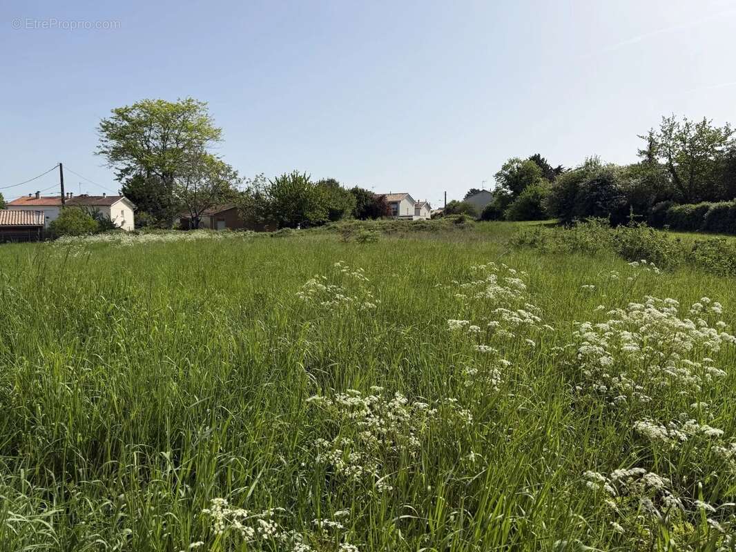 Terrain à BLAYE