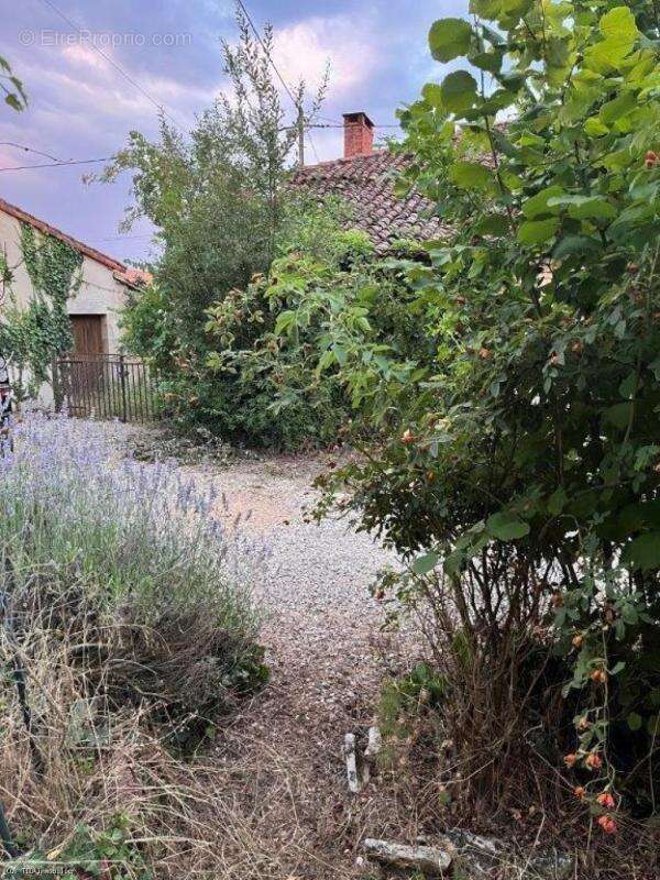 Maison à BLANZAY
