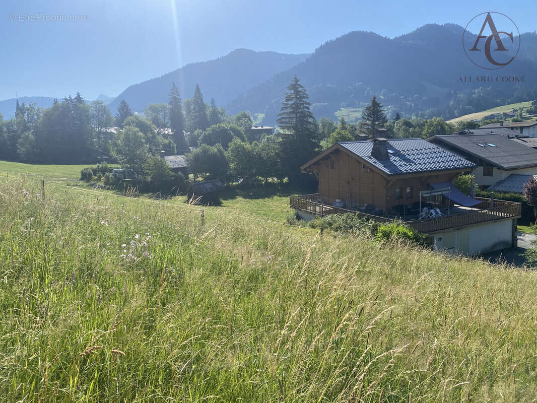 Terrain à PRAZ-SUR-ARLY