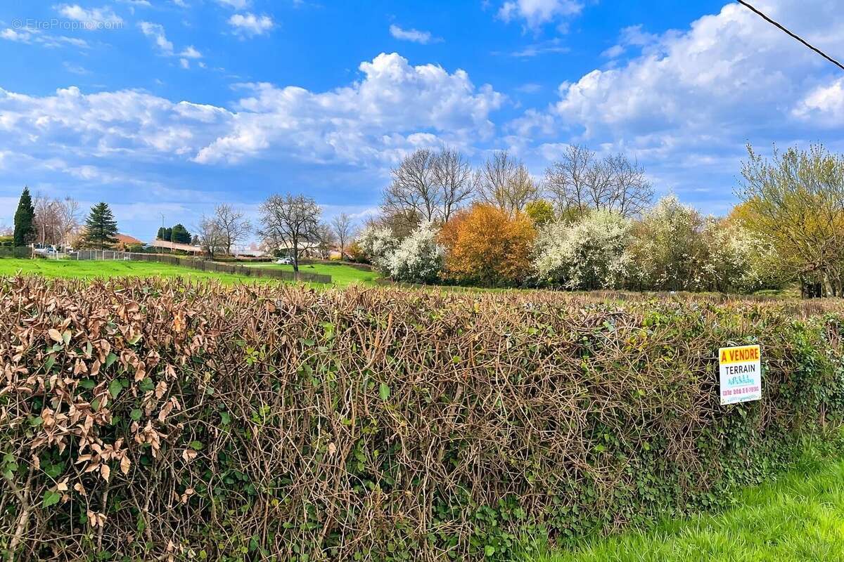Terrain à SAINT-VINCENT-BRAGNY