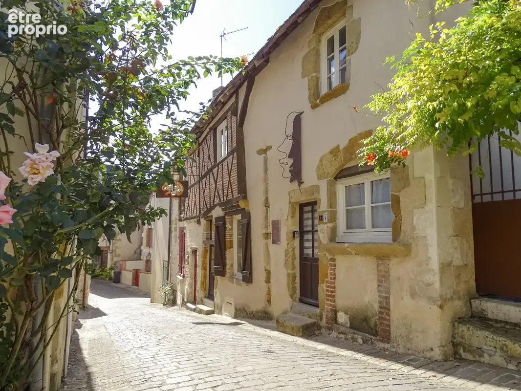 Charmante maison Dans la cité médiévale de Mennetou sur Cher - photo 21