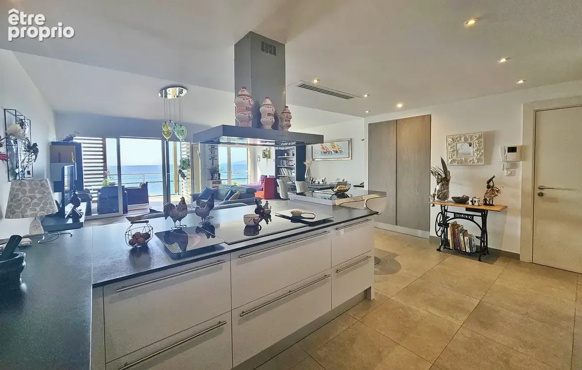 RIVE SUD Agosta Plage - Superbe T3 traversant vue mer + Garage - photo 8