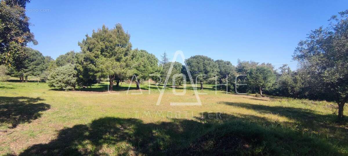 Maison à ARGELES-SUR-MER