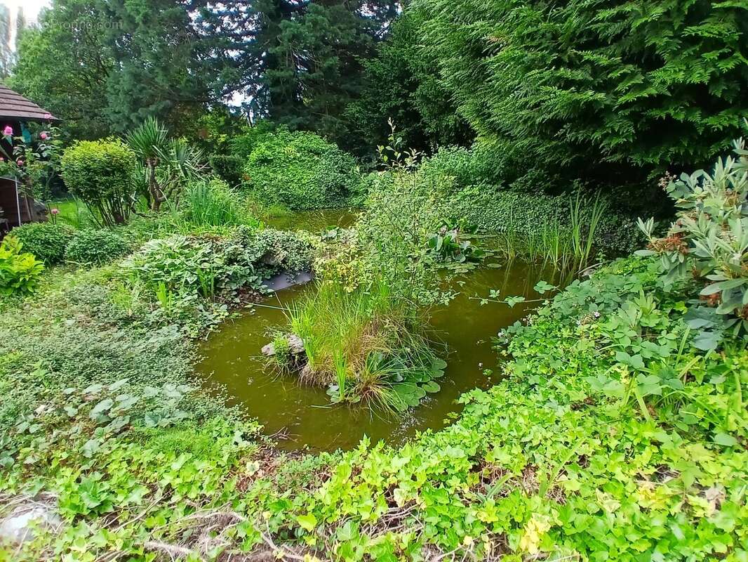 Maison Serquigny - photo 14