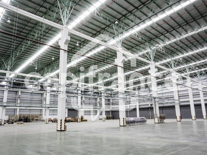 Commerce à BOURGOIN-JALLIEU