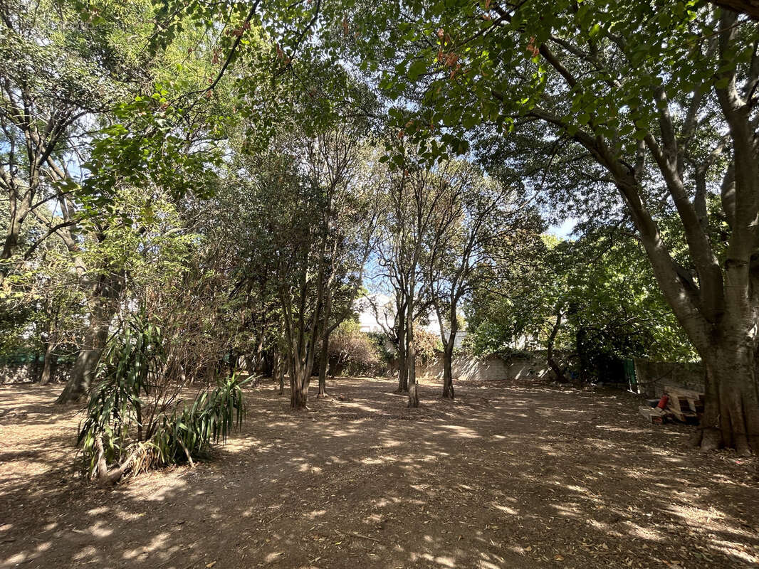 Maison à MONTPELLIER