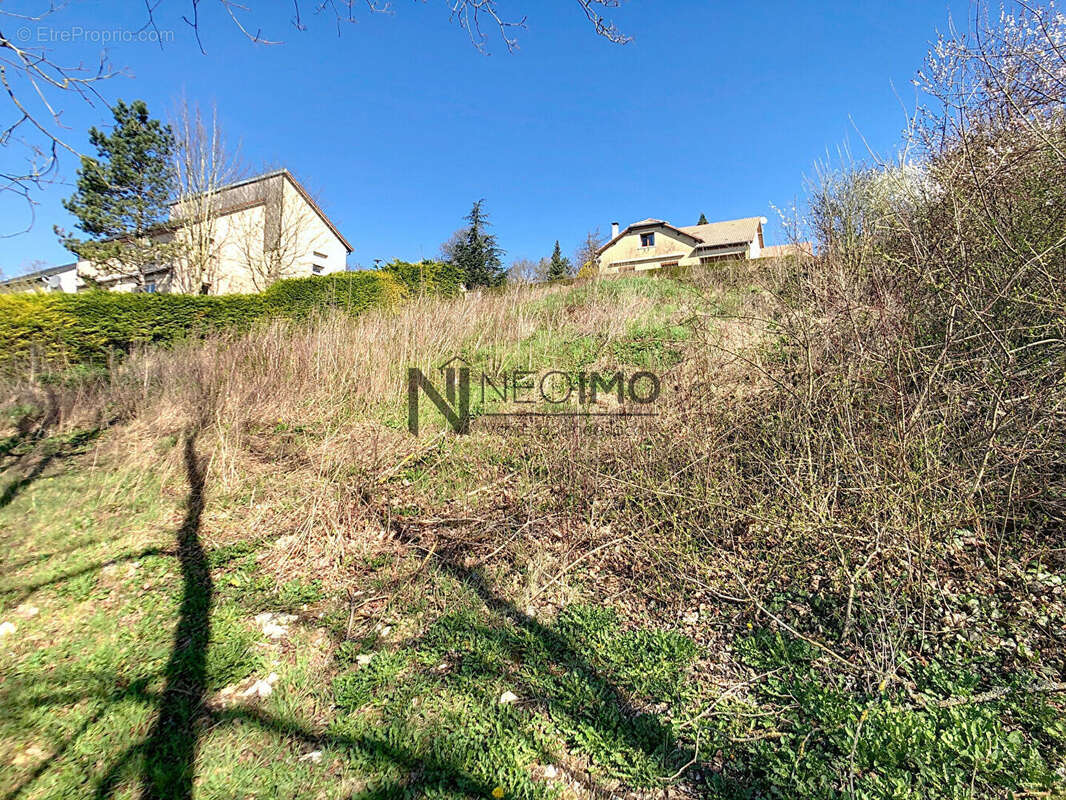 Terrain à NEUFCHATEAU