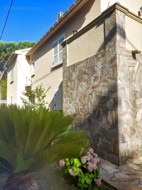 Patrimonio :  : villa avec 5 pièces à vendre - photo 11