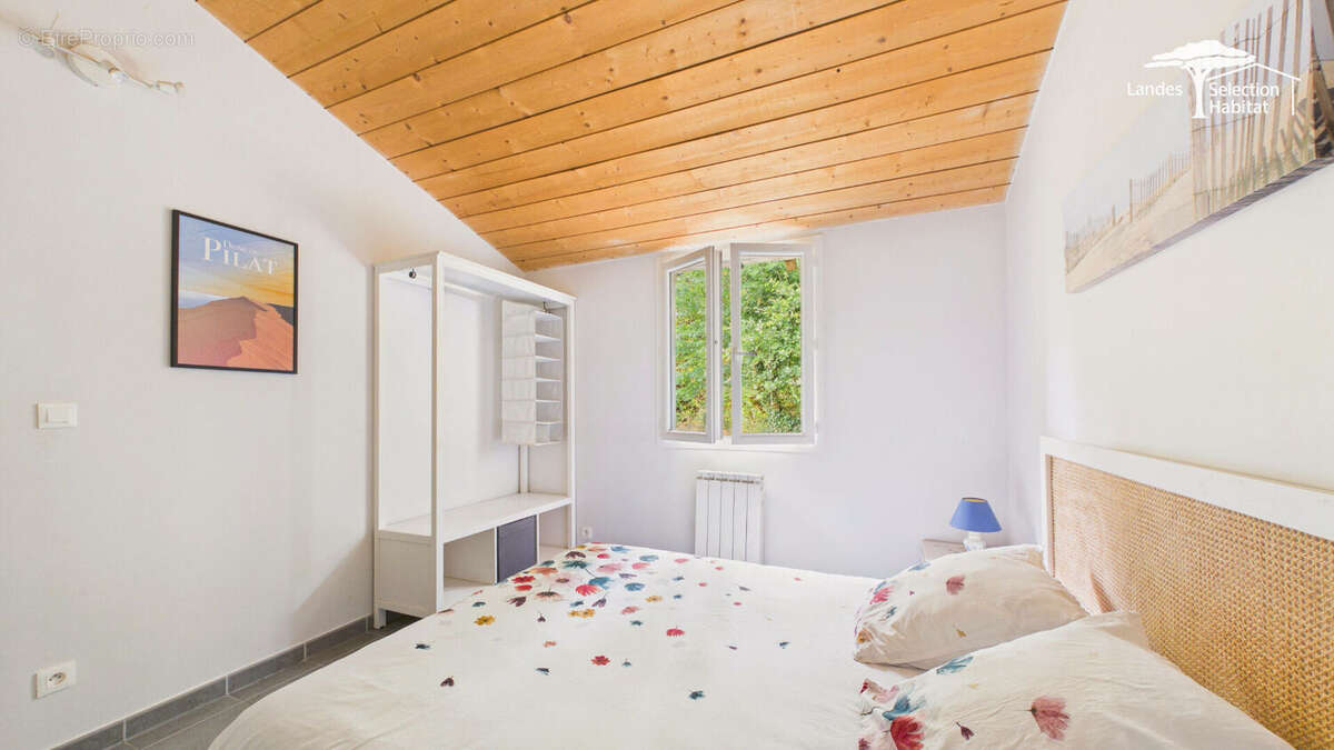 2 belles maisons landaises avec piscine et airial  (revenus gîte) - photo 11