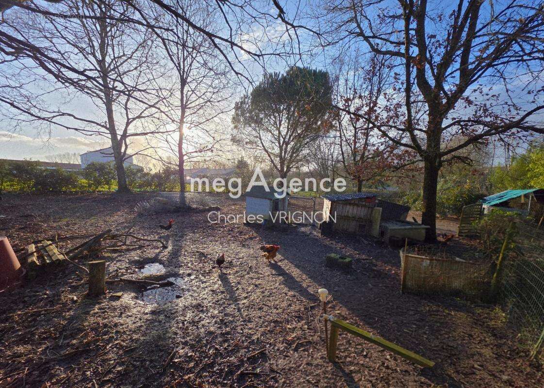 Terrain à TALMONT-SAINT-HILAIRE
