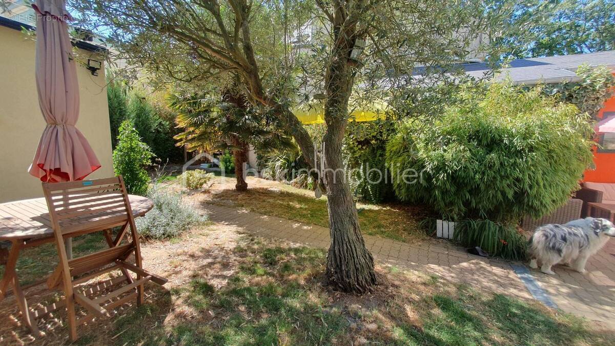 Photo Maison à Le Havre au prix de 244 000€