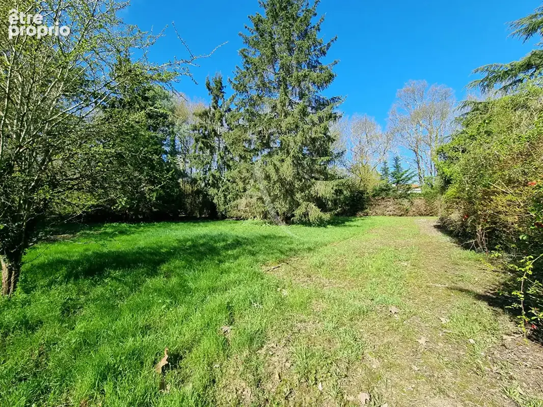 Maison 12 pièces 300 m² à vendre à Chalonnes-Sur-Loire (49290) - photo 4