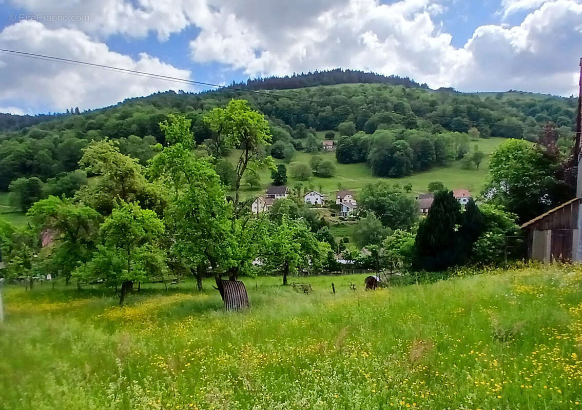 Maison à SONDERNACH