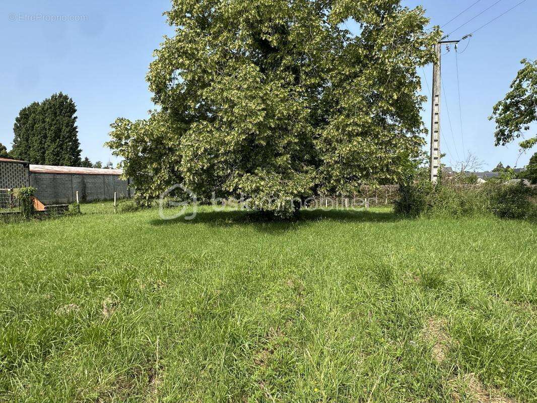 Terrain à SAINT-GERVAIS-LES-TROIS-CLOCHERS