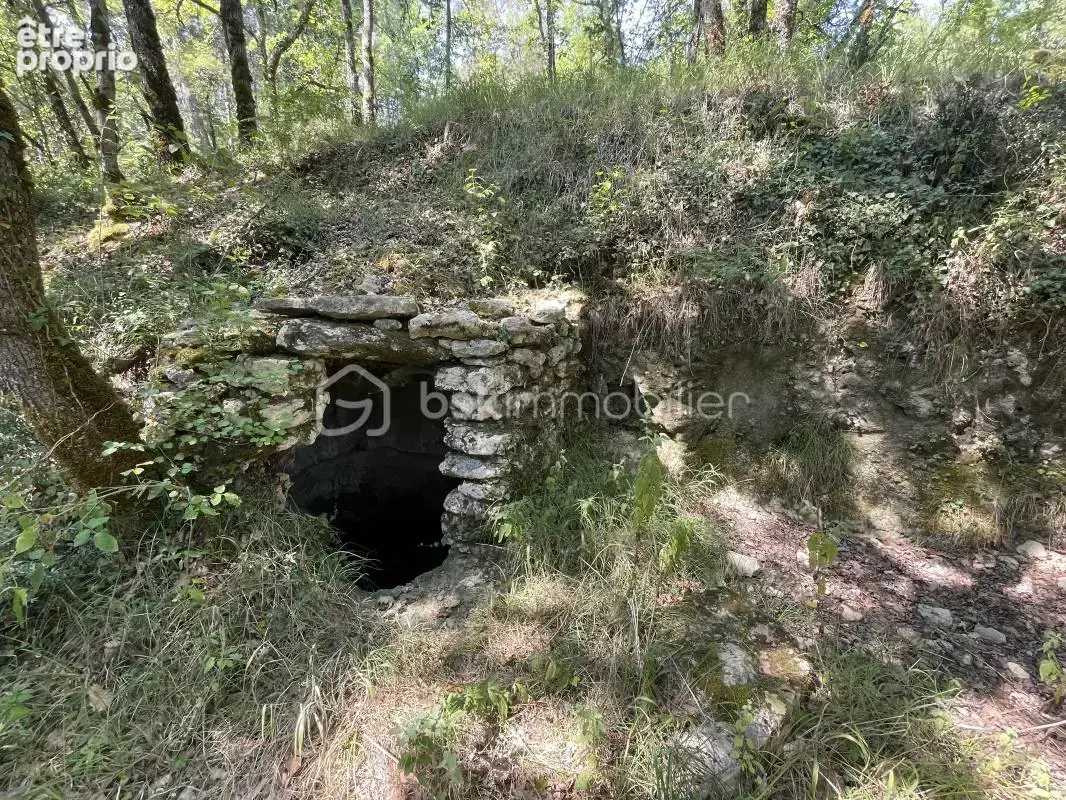 Propriété d’exception avec gîtes de 8 hectares au cœur du Périgord Noir avec vue sur les bois environnants - photo 26