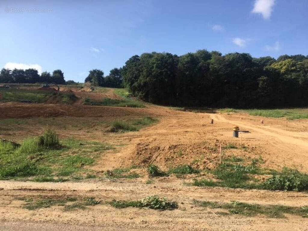 Terrain à LE BOULLAY-MIVOYE