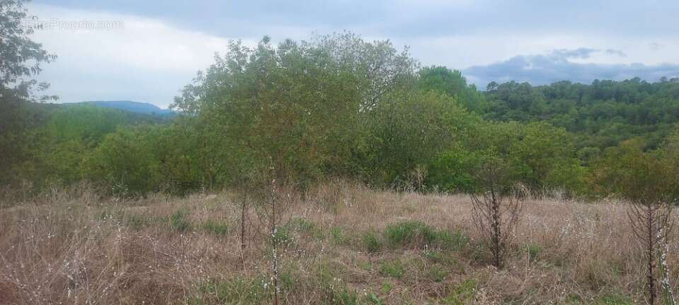 Terrain 620 m² à Camps-La-Source  - photo 2