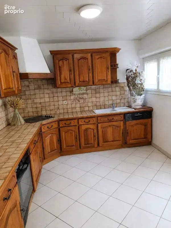 Dombasle-sur-meurthe - 3 pièce(s) - 85 m² - photo 2